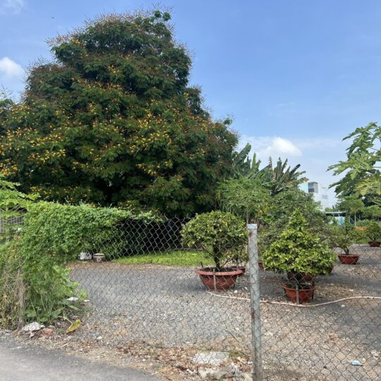 Bán lô đất biệt thự 423m2 khu bên sông Sài Gòn giáp Vạn Phúc City