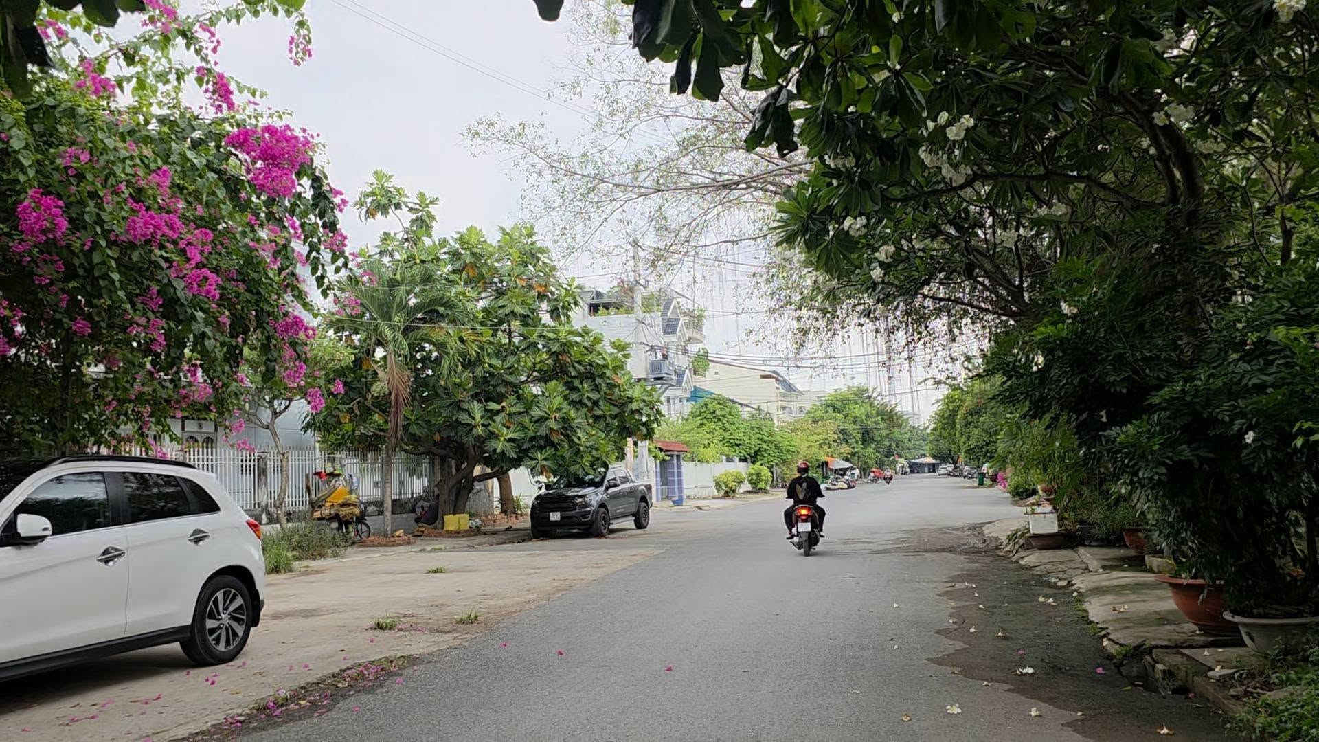 Đất 1213m2 bên sông Sài Gòn phường Hiệp Bình Chánh Thủ Đức