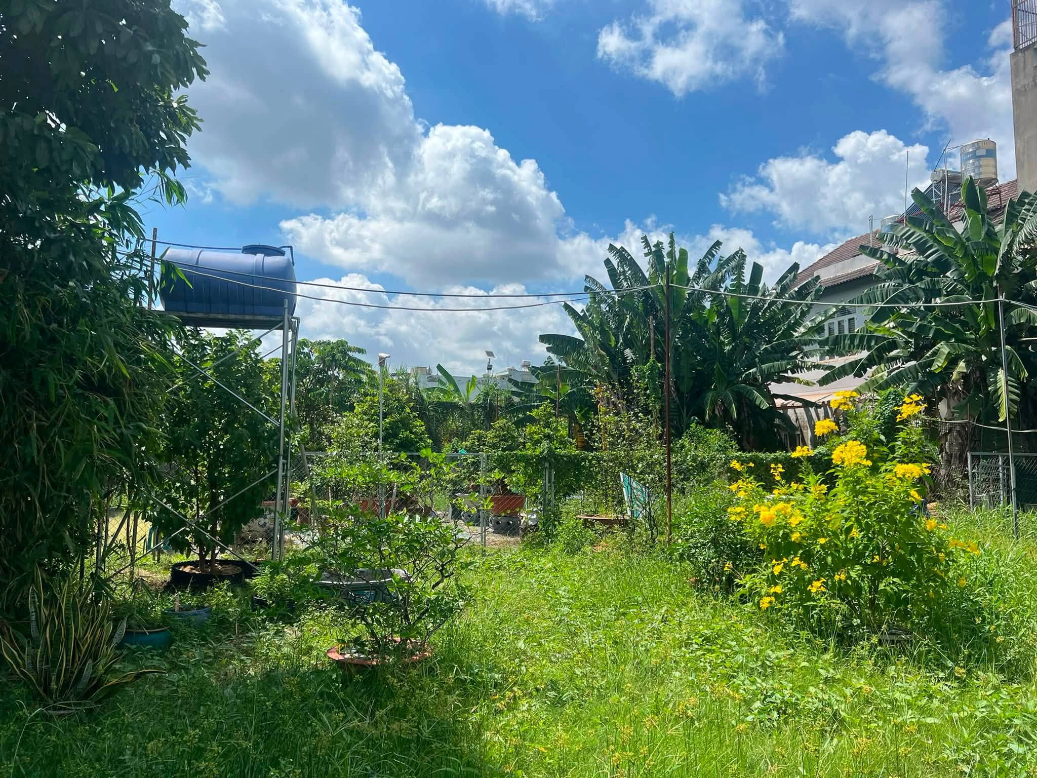 Đất 1213m2 bên sông Sài Gòn phường Hiệp Bình Chánh Thủ Đức
